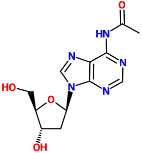 MC081306 N6-Acetyl-2'-deoxyadenosine (图片) MC081306 N6-Acetyl-2'-deoxyadenosine